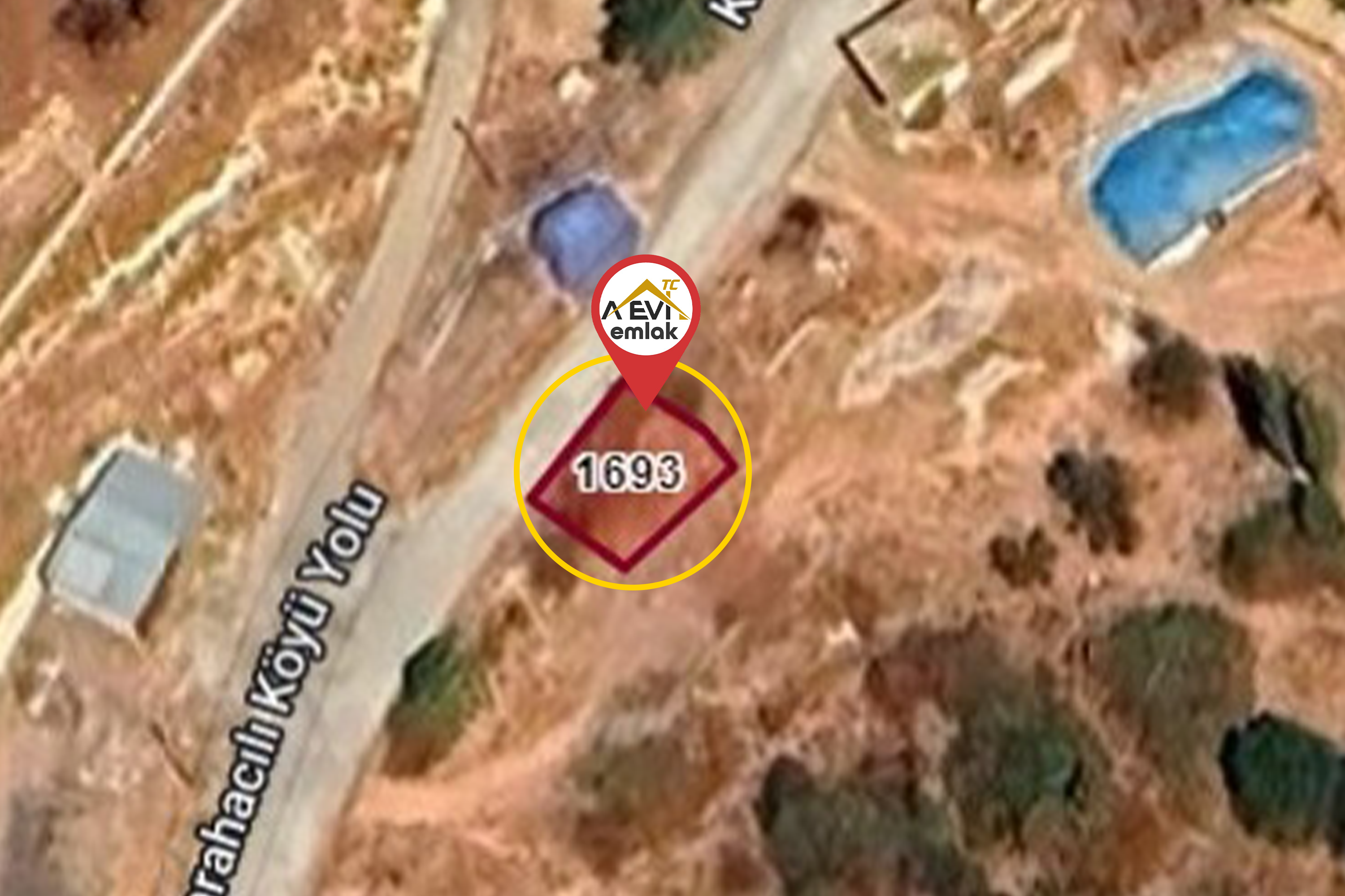 Medya