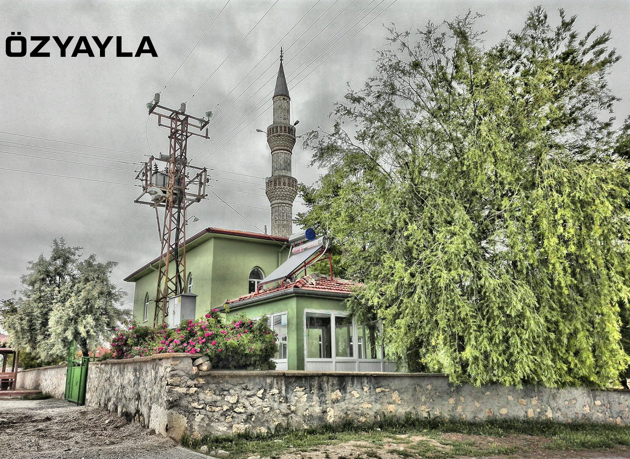 Medya