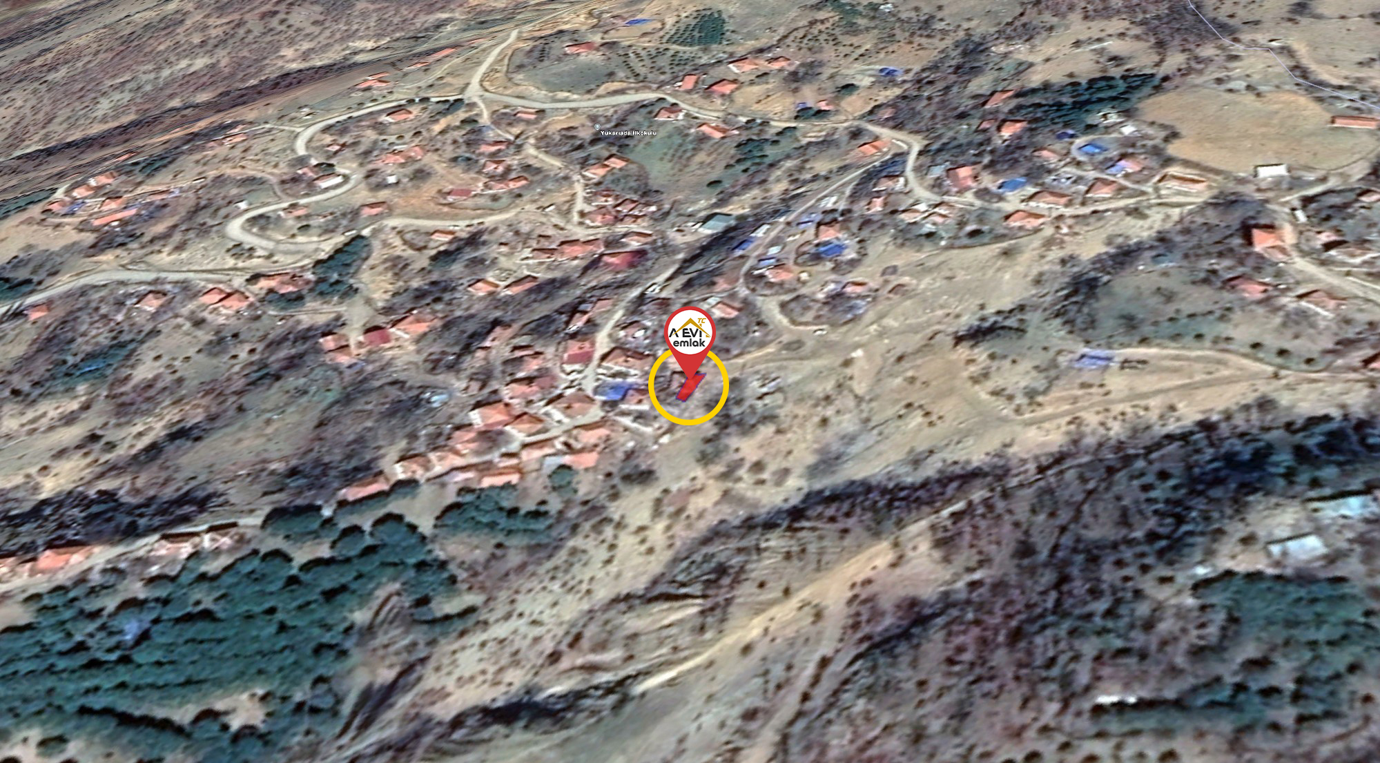 Medya