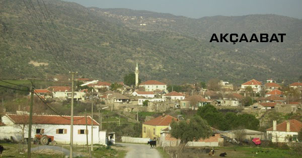 Medya