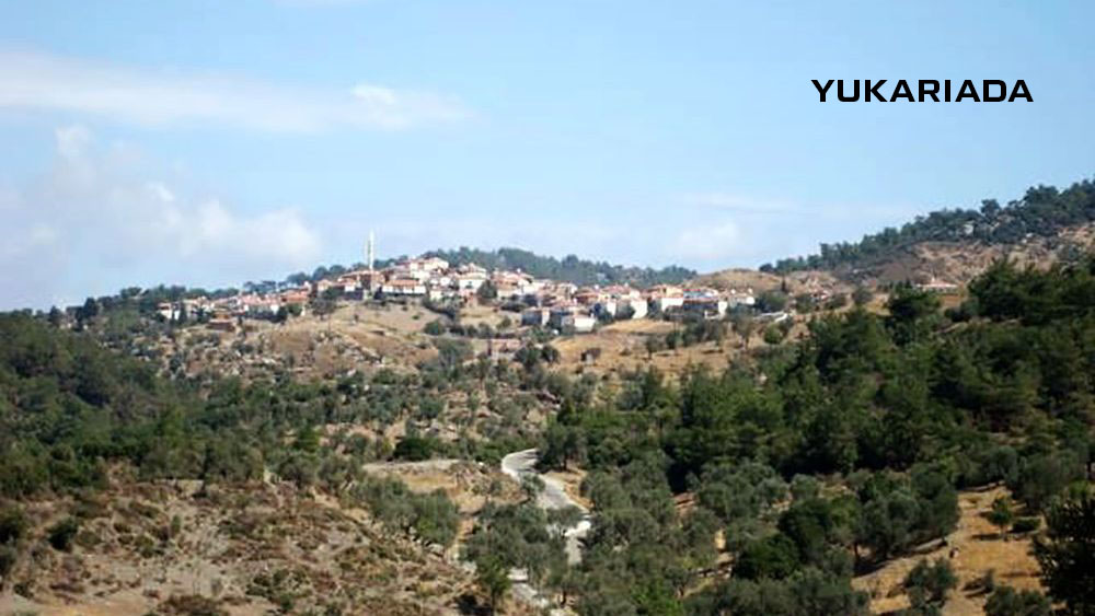 Medya