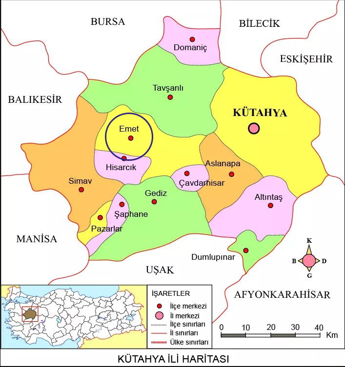 Medya