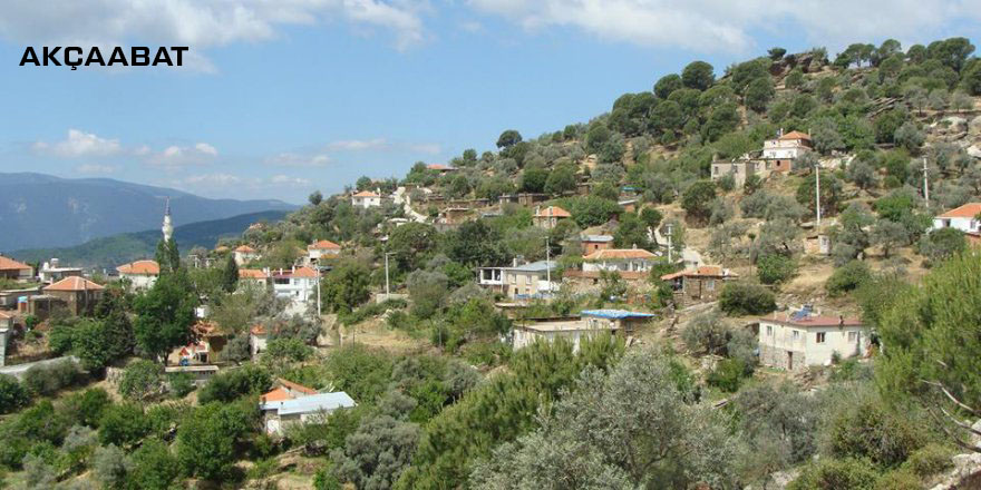 Medya
