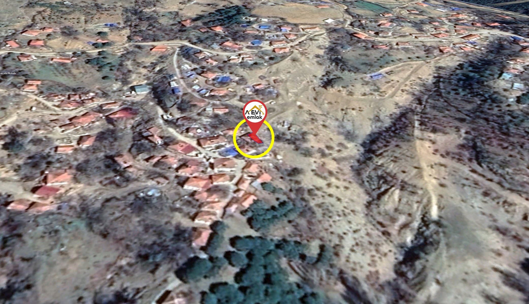 Medya