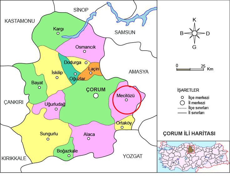 Medya