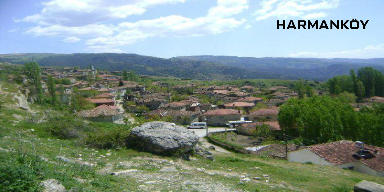 Medya