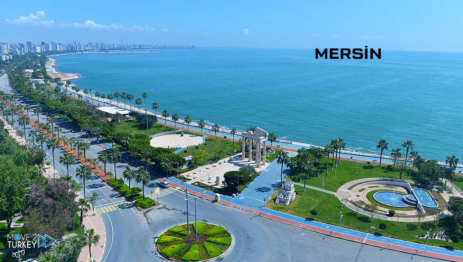 Medya