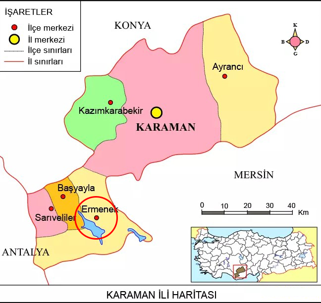 Medya