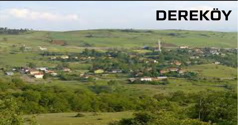 Medya