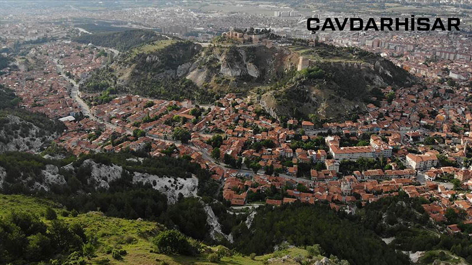 Medya