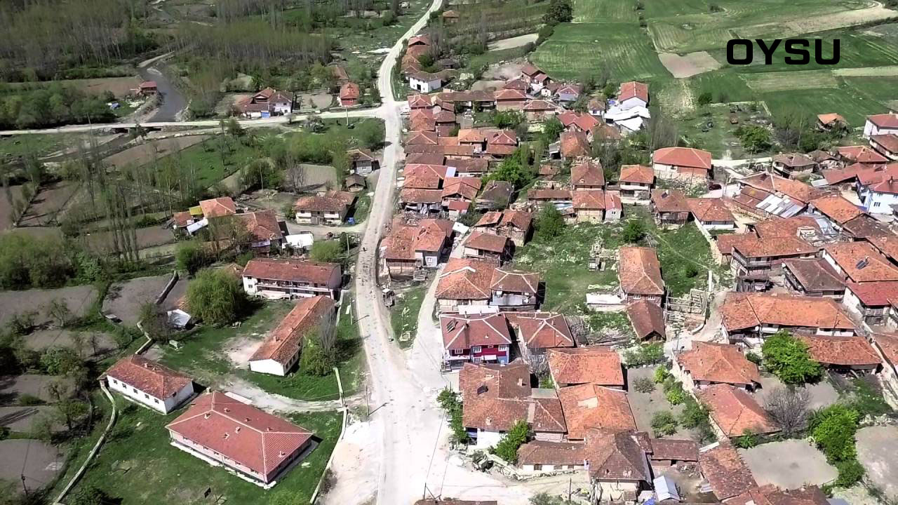 Medya