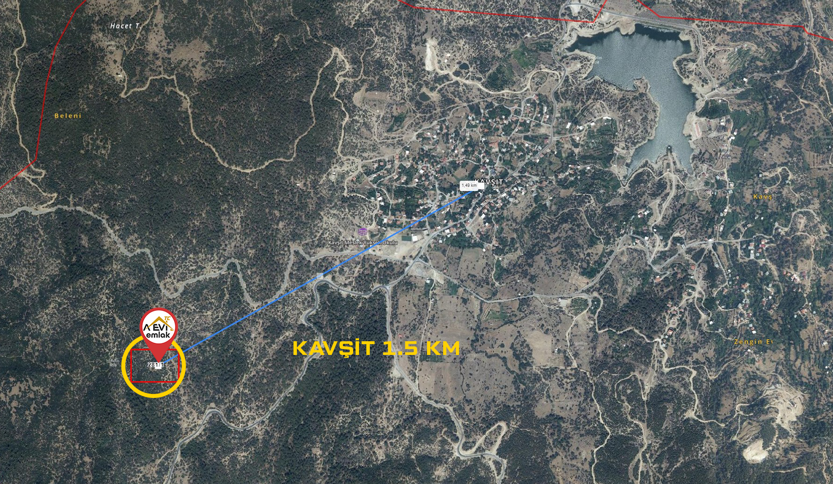 Medya