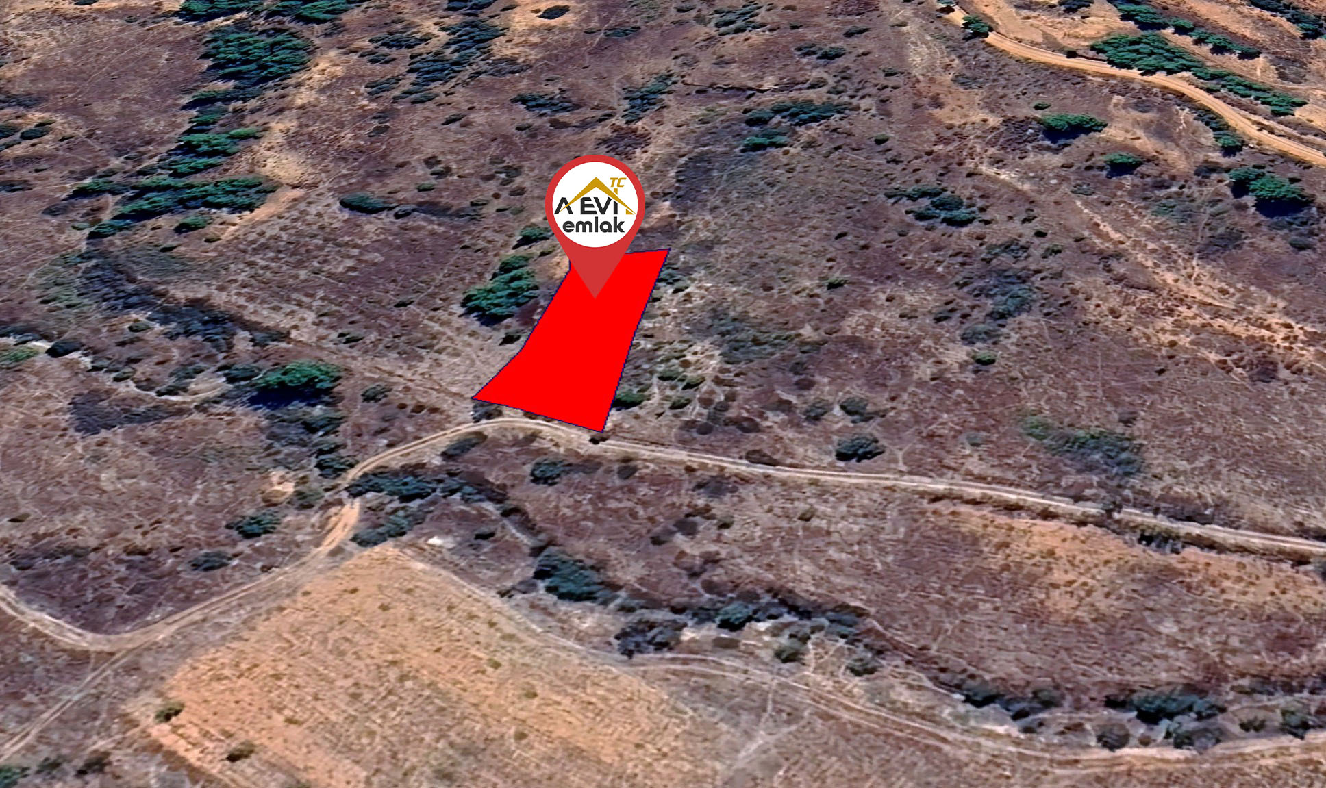 Medya