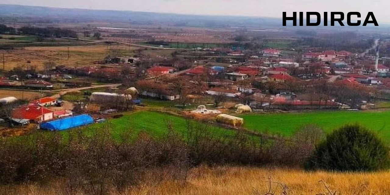 Medya