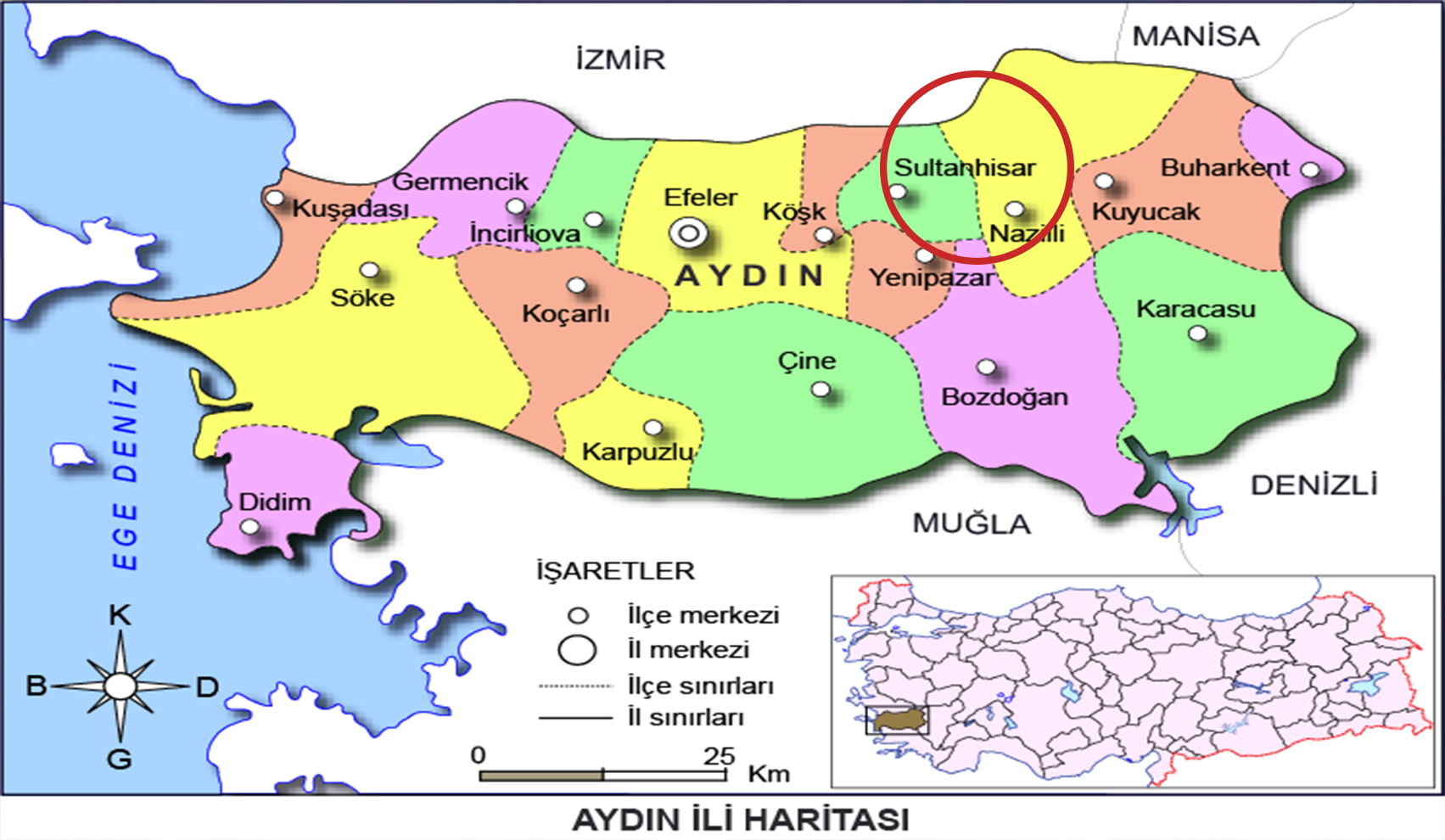 Medya
