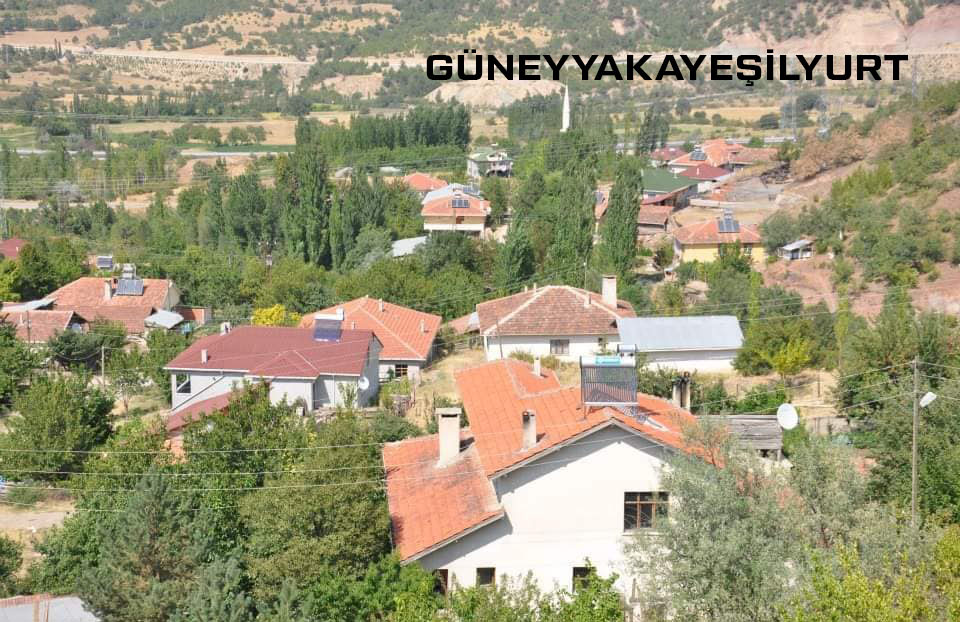 Medya