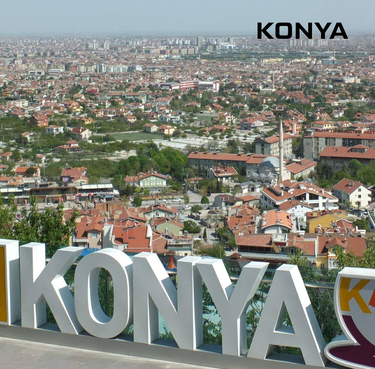 Medya