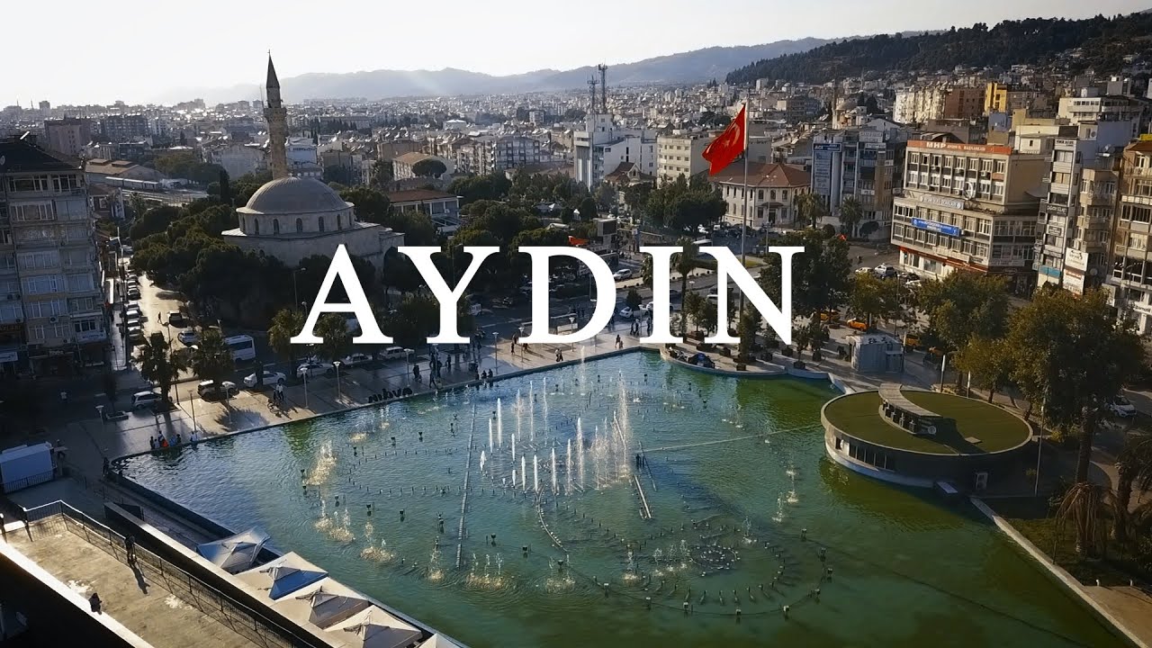 Medya