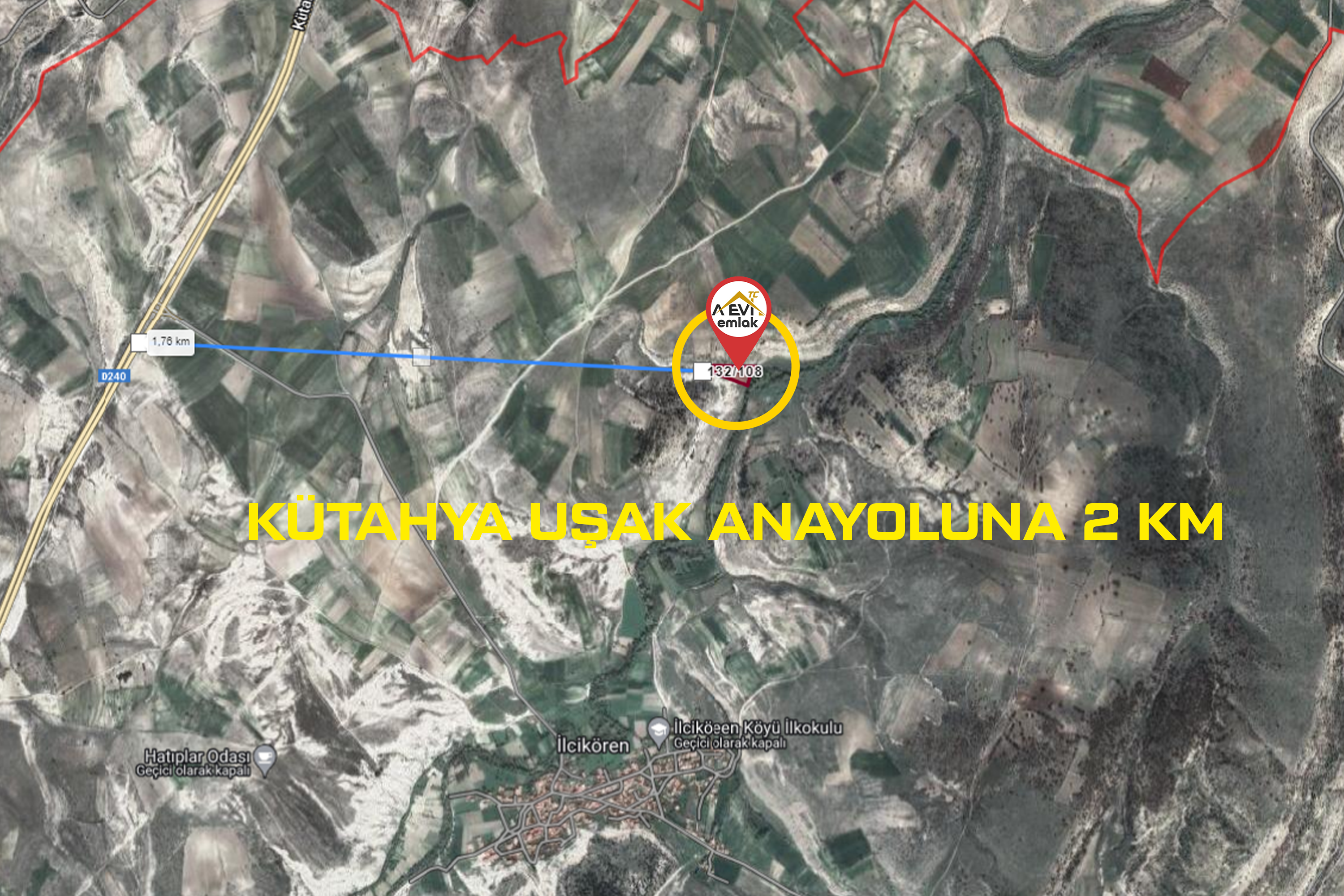 Medya