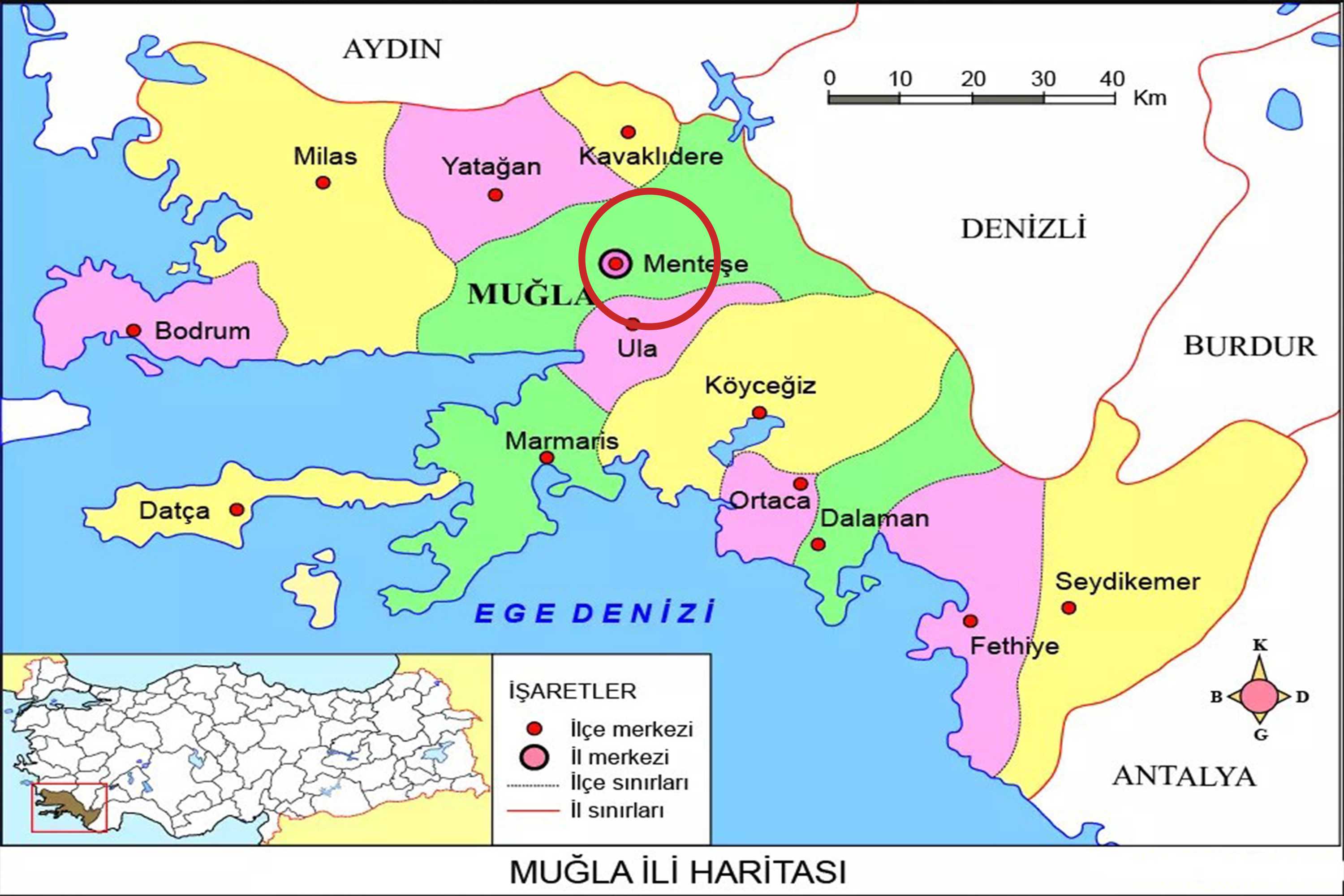 Medya