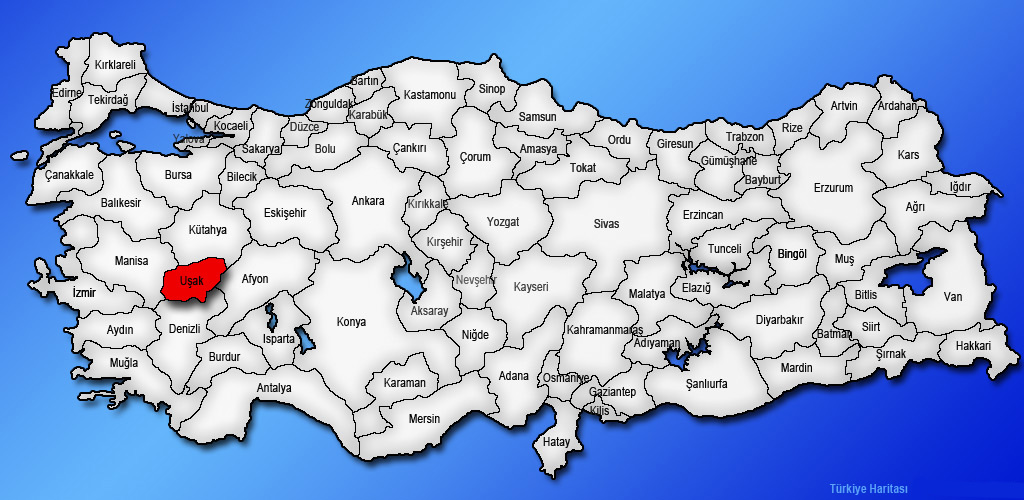 Medya