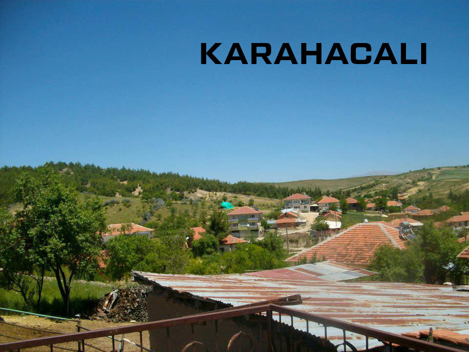 Medya