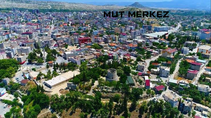Medya