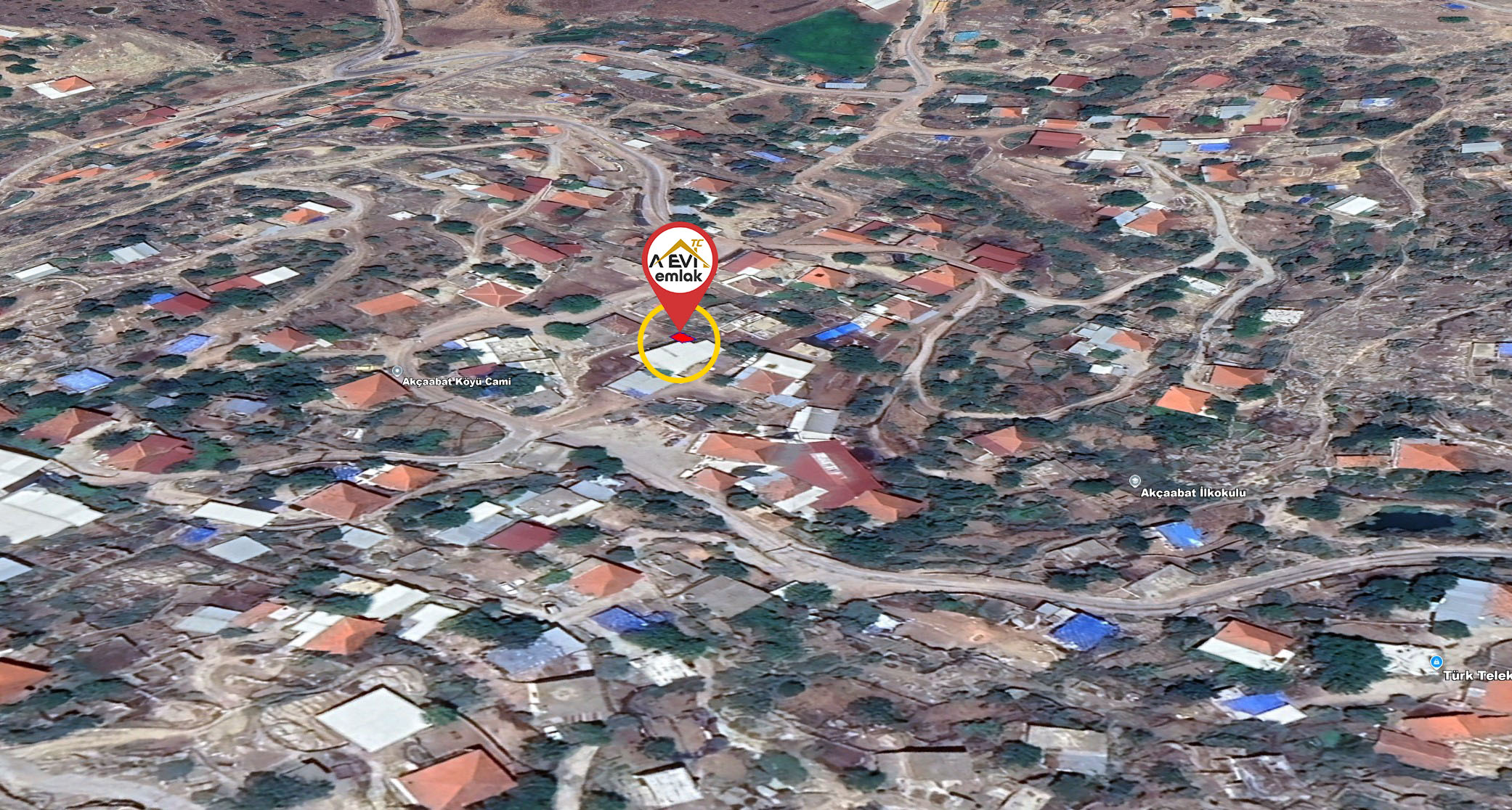 Medya