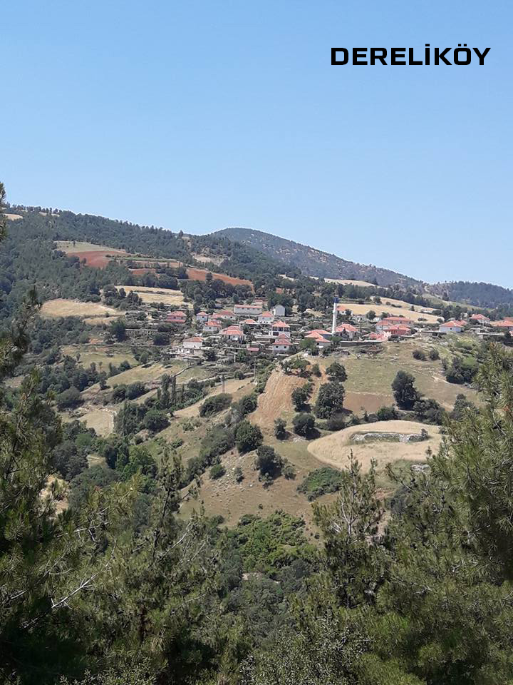 Medya