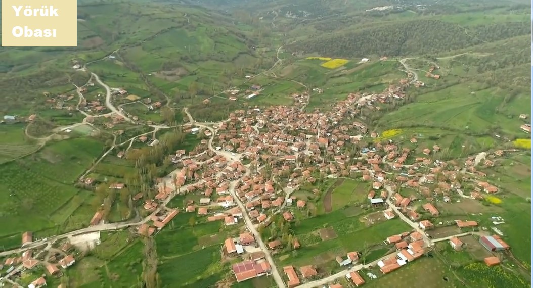 Medya