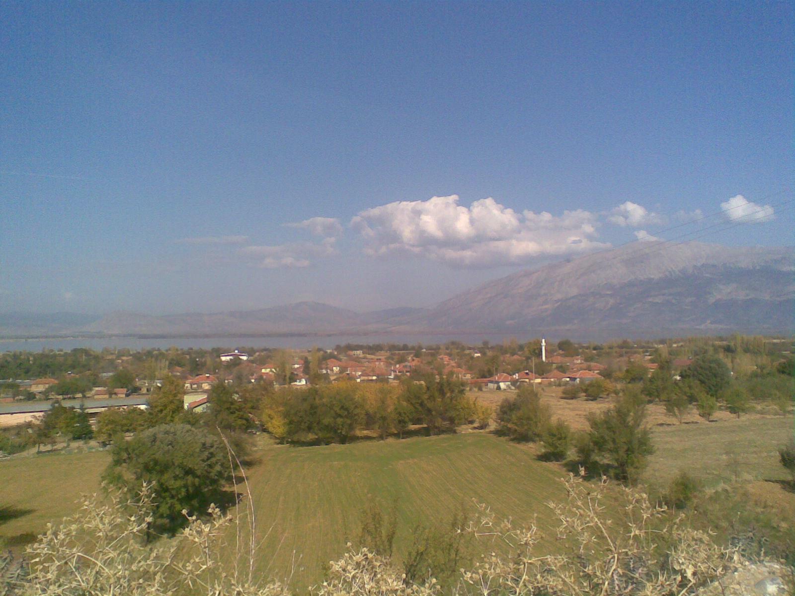 Medya