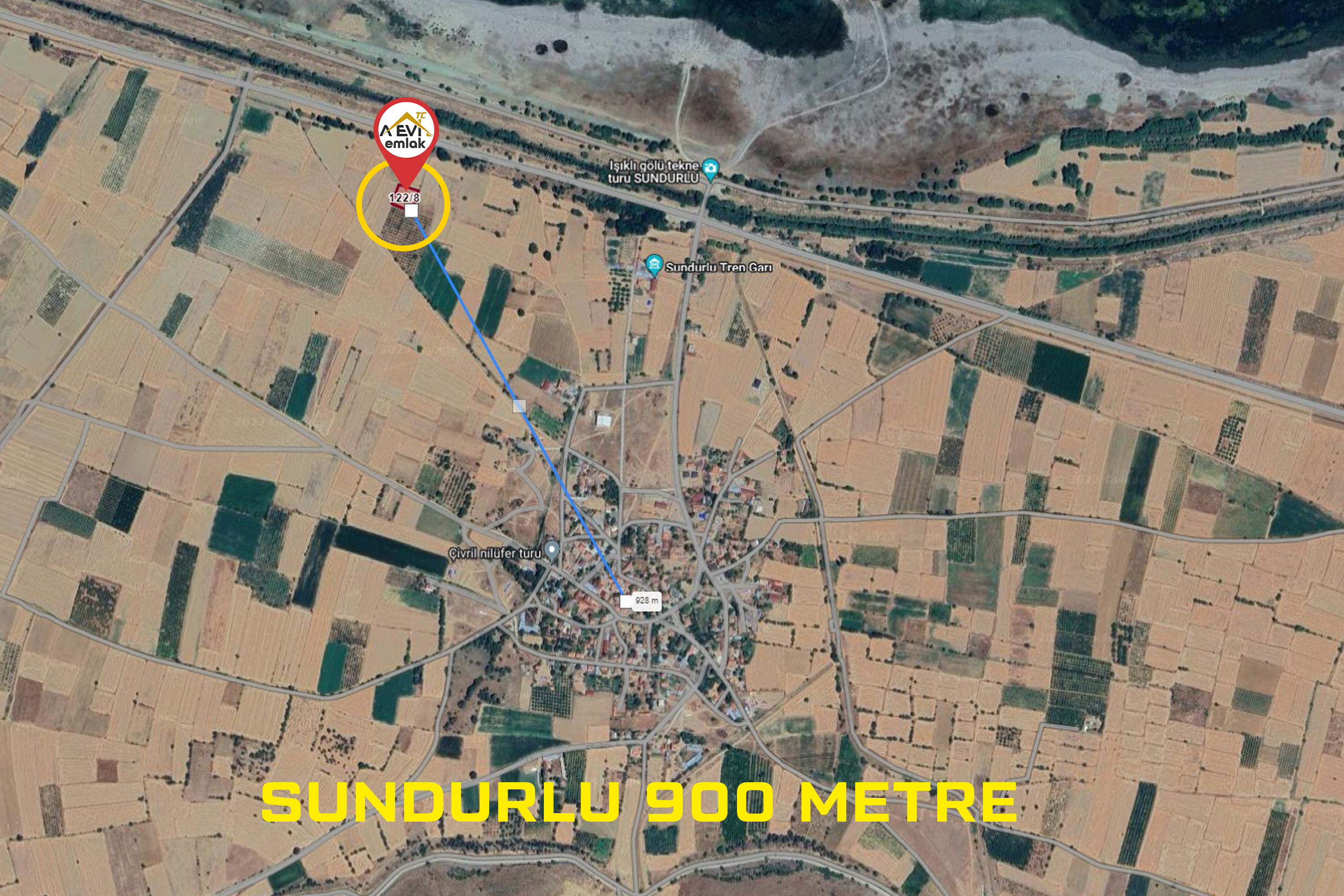 Medya