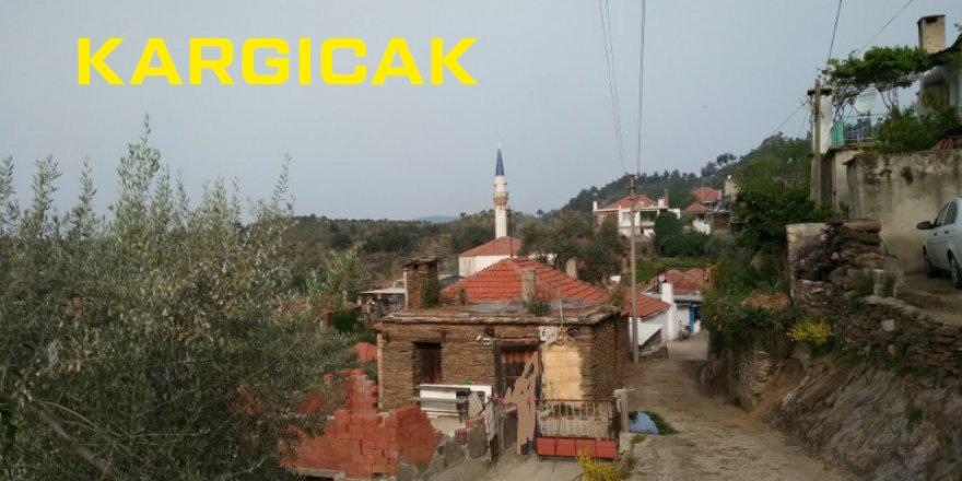 Medya