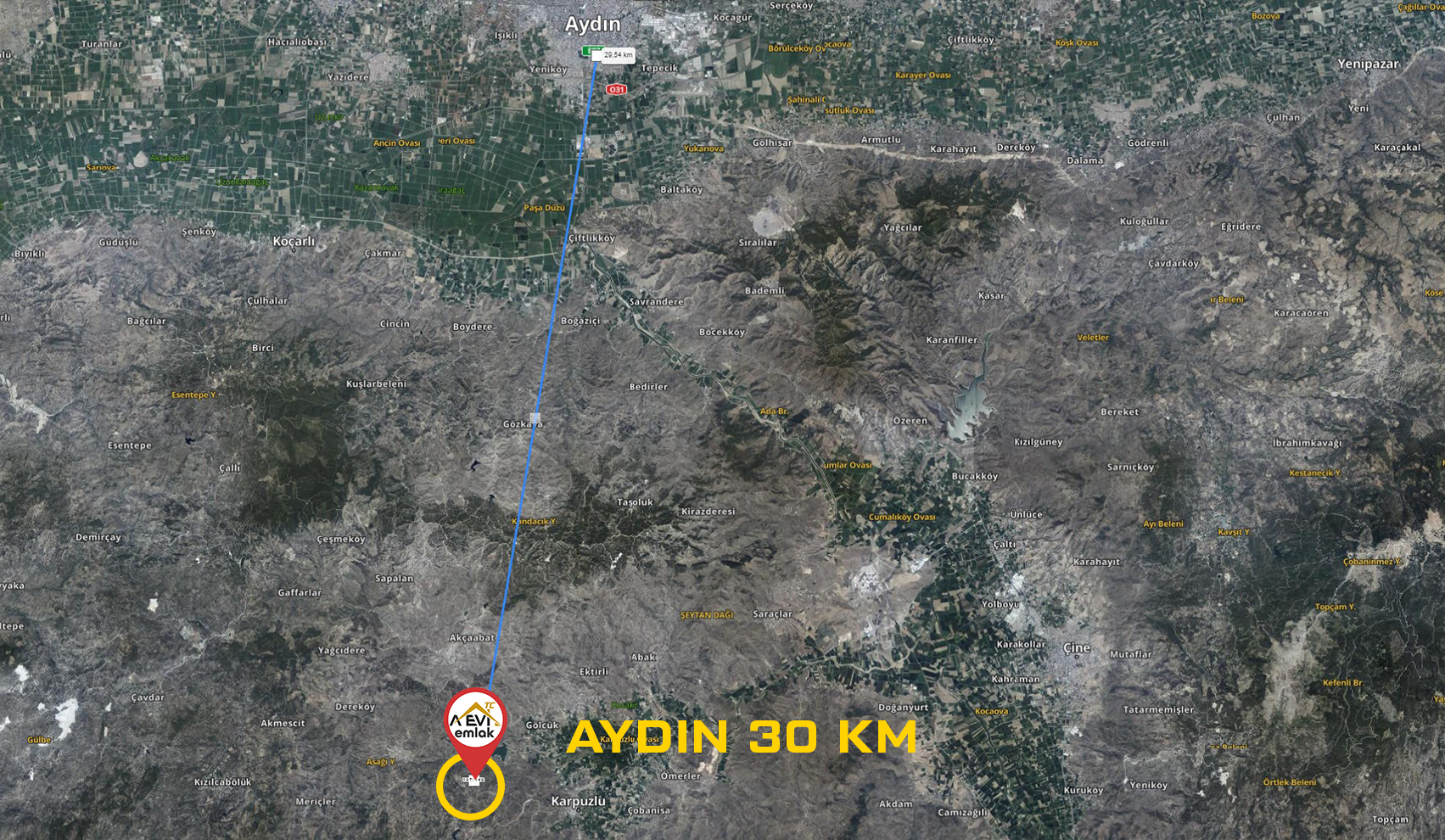 Medya