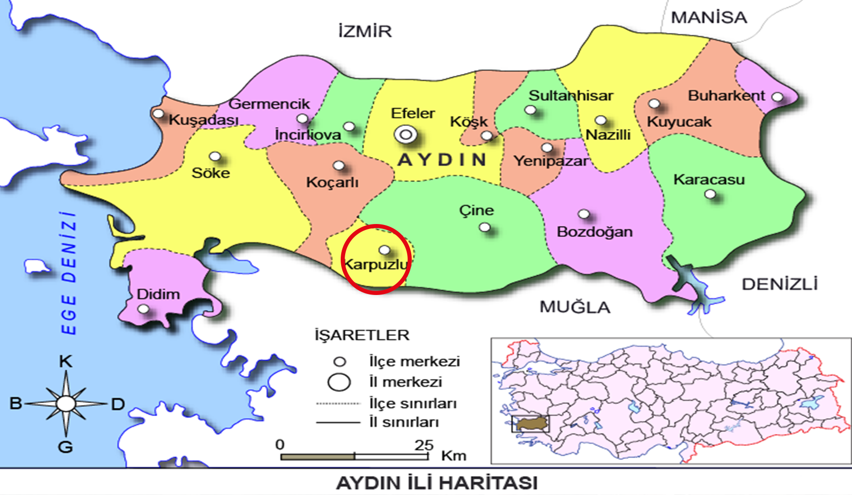 Medya