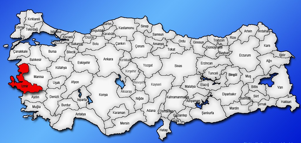 Medya