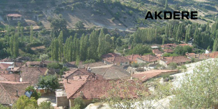 Medya
