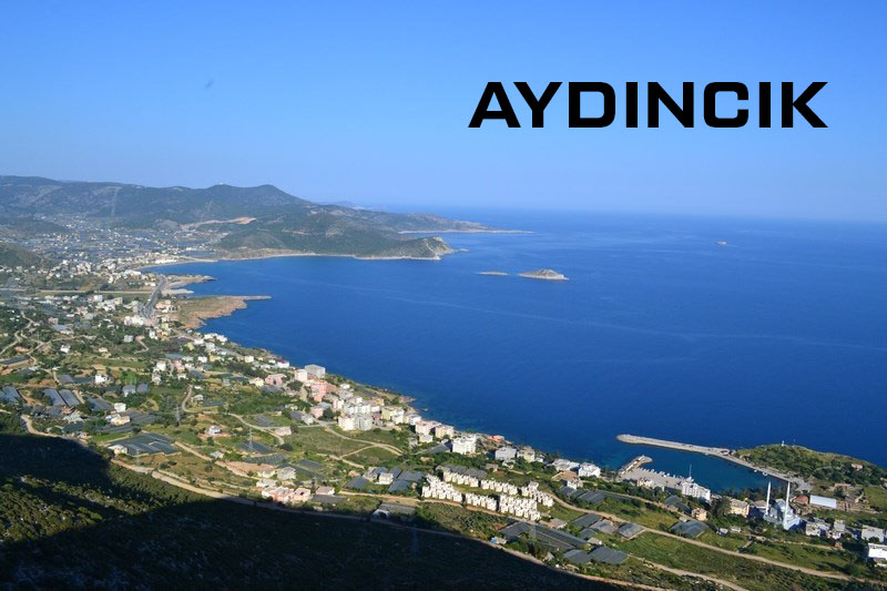 Medya