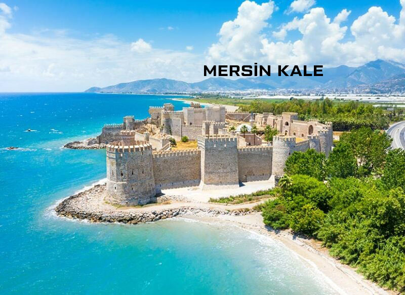 Medya