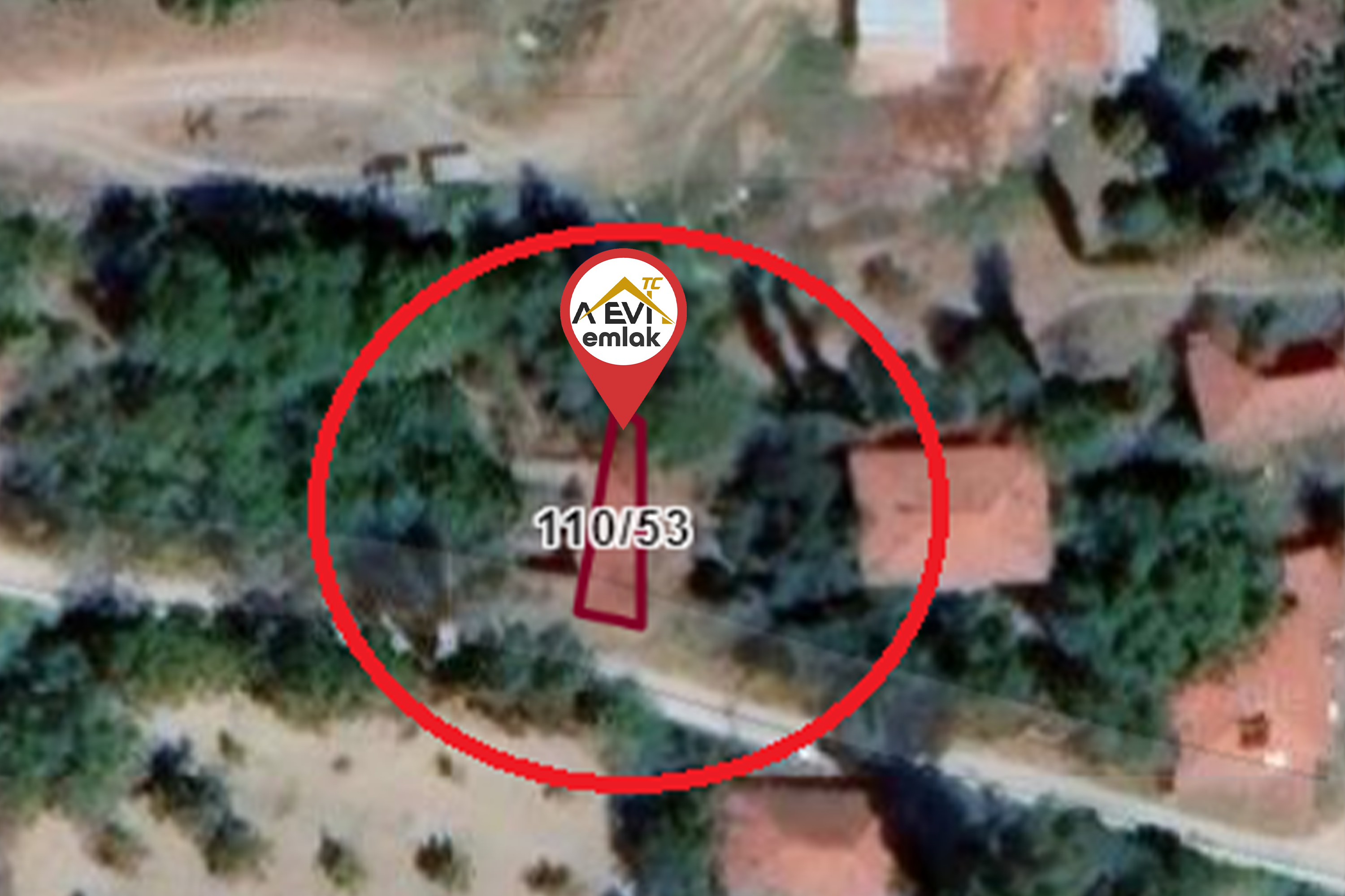 Medya